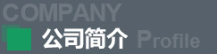 公司簡介